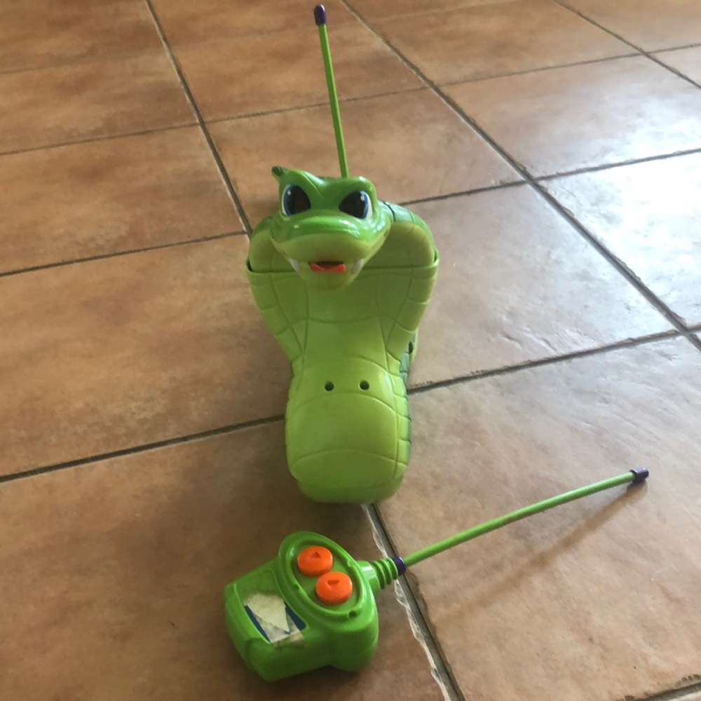 Remote control snake